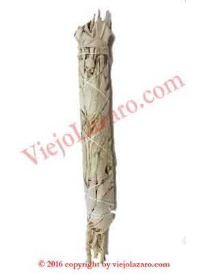 White Sage