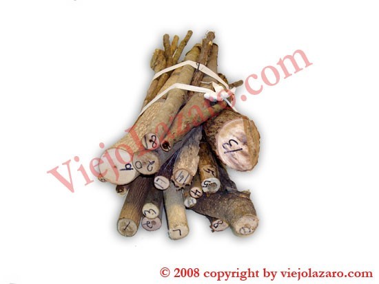 Carga Of 21 Palos (Small)