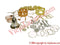 Osha Tools Set  1 (Special) 