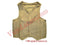 Vest of San Lazaro