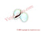 Egg Cowrie