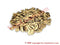 Cowrie Shell - Open 