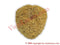 Sea Sponge 