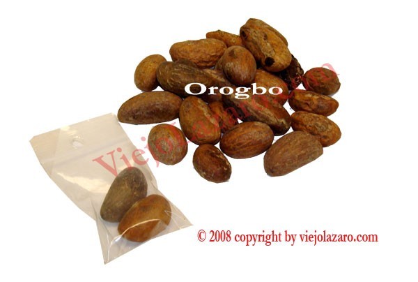 Orogbo