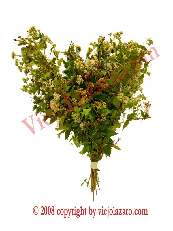 Abre Camino Herbs (Open the Way) 
