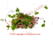 Coralillo Herbs